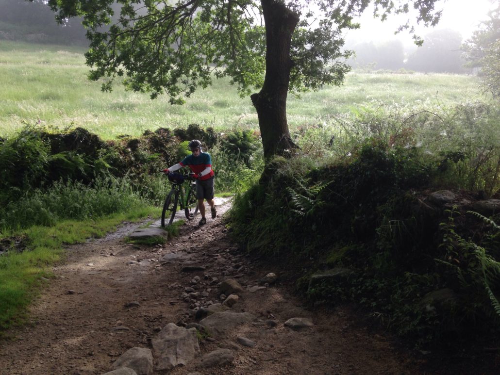 Bike Tour Terrain for Camino de Santiago